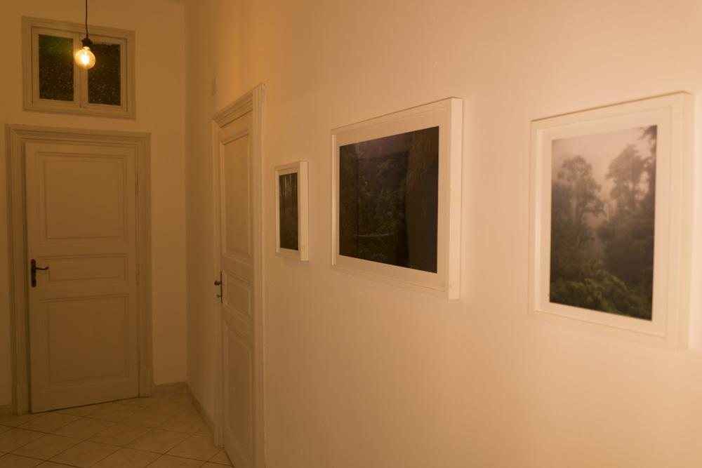 Trastevere Corner Eight Roma Exterior foto